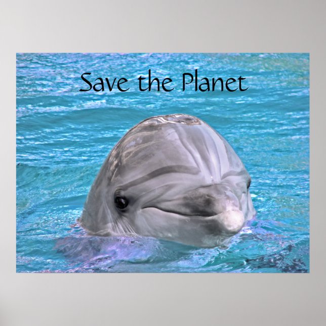 Poster Dauphin souriant - Sauvez la planète (Devant)