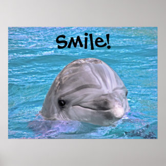 Poster Dauphin souriant - Souriez !