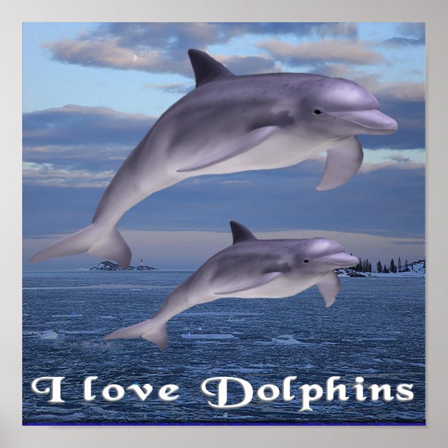 Poster dauphins (Devant)