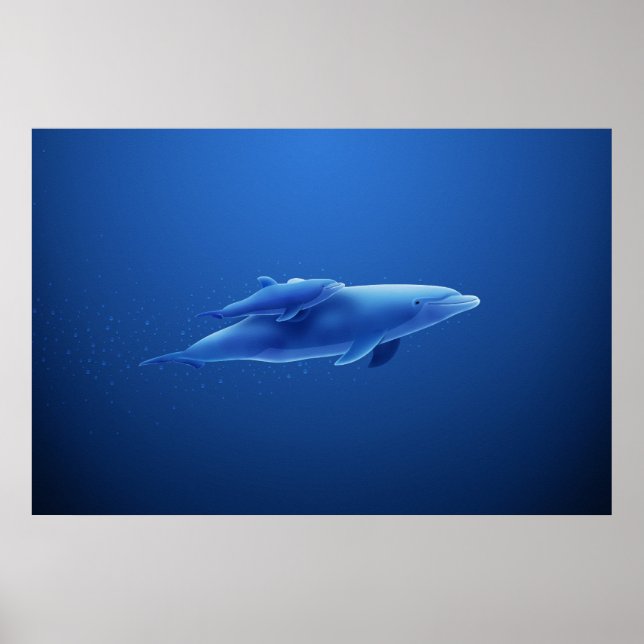 Poster Dauphins (Devant)