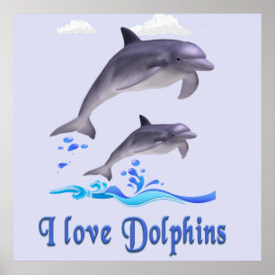 Poster dauphins