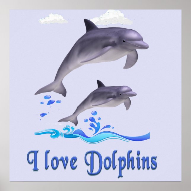 Poster dauphins (Devant)