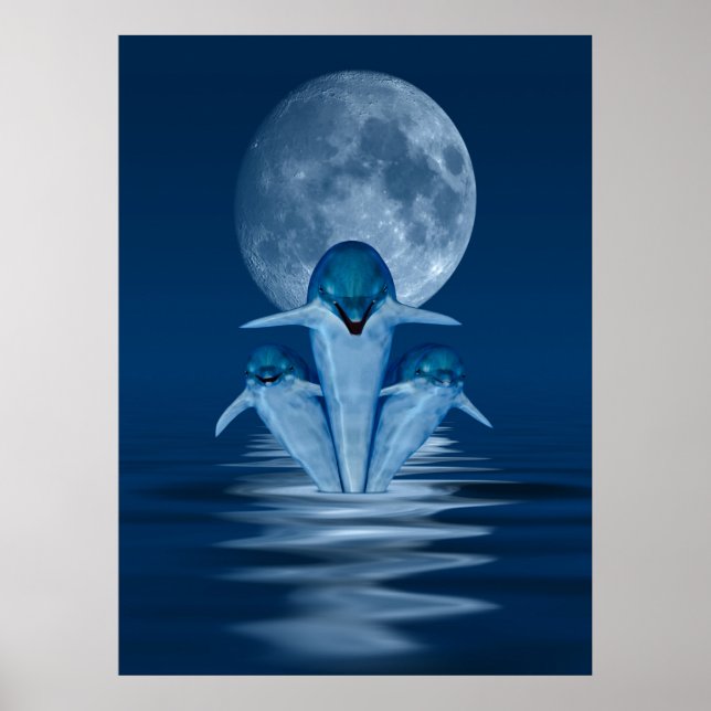 Poster Dauphins (Devant)