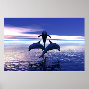 Poster Dauphins de début de la matinée