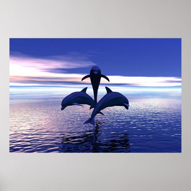 Poster Dauphins du début du matin (Devant)