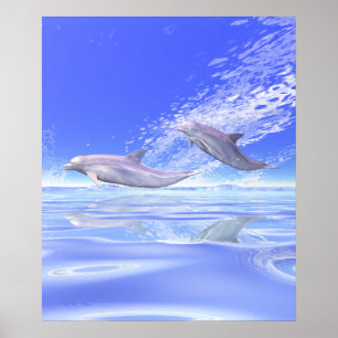 Poster Dauphins en course