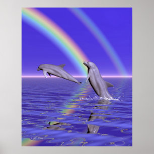 Poster Dauphins et arc-en-ciel