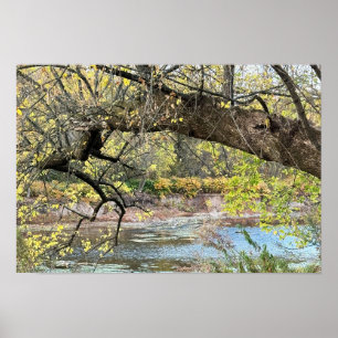 Poster d'automne Waterscape