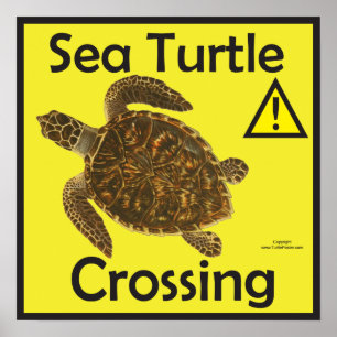Poster d'avertissement pour le passage des tortues