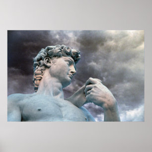 Poster David