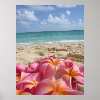 Poster Dayz hawaïen