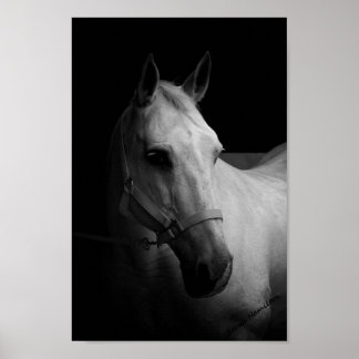 Poster Dazzle