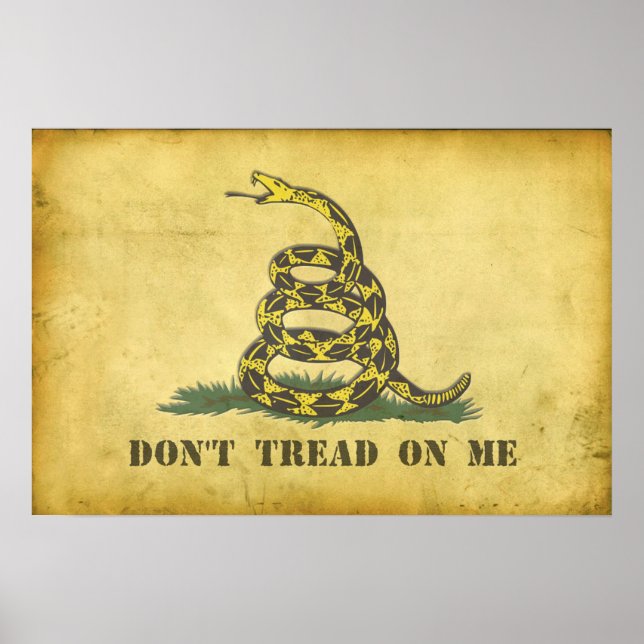 Poster de 24 po x 20 po (Devant)