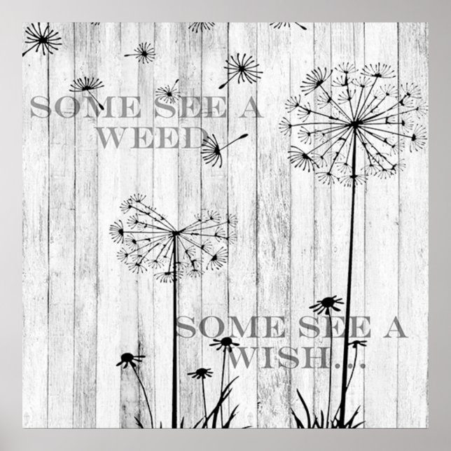 Poster de 24 po x 24 po pour Dandelion (Devant)