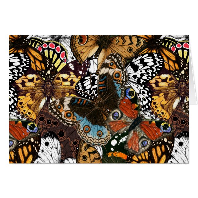Poster de animal. Ailes papillons. (Devant horizontal)