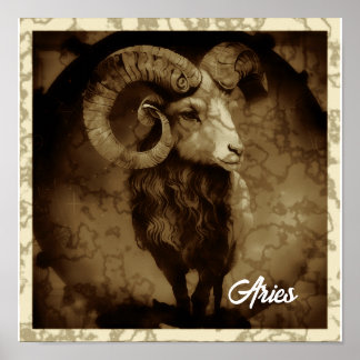 Poster de Aries Zodiac
