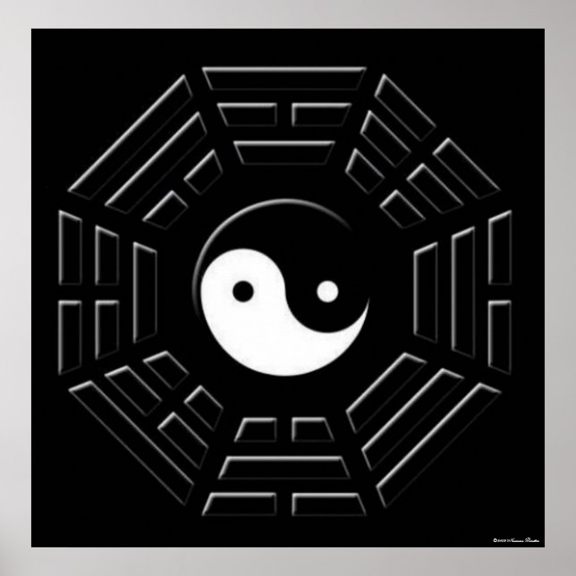 Poster de Bagua (Devant)