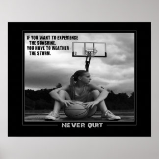 Poster de basket-ball #211 (Matte)