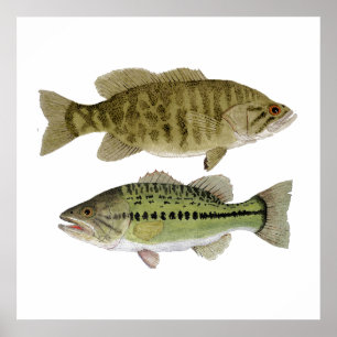 Poster de Bass Art