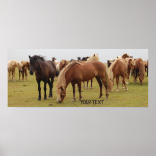 Poster De beaux chevaux bruns