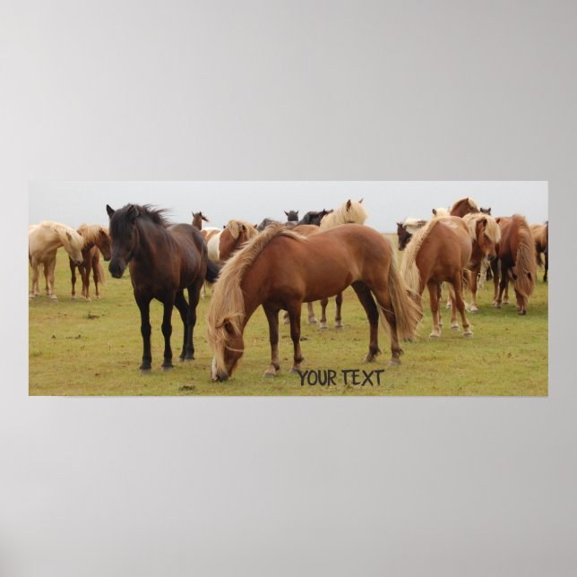 Poster De beaux chevaux bruns (Devant)