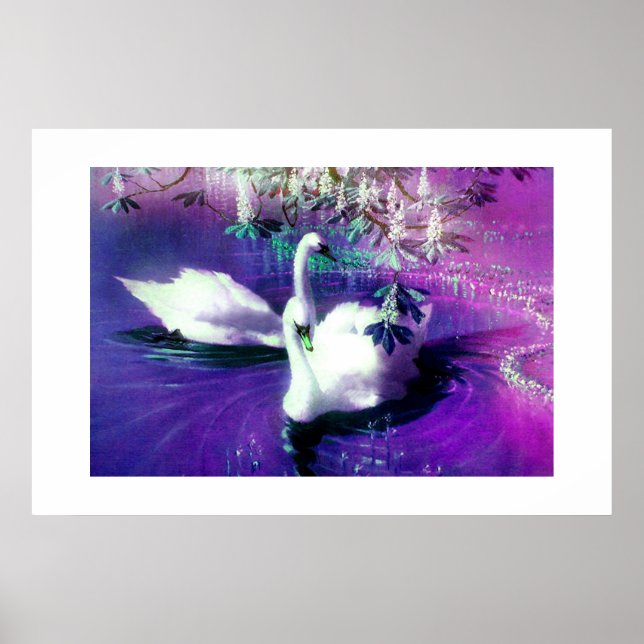 Poster De beaux cygnes (Devant)