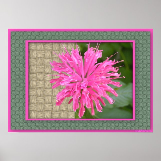 Poster de Bee Balm (Devant)