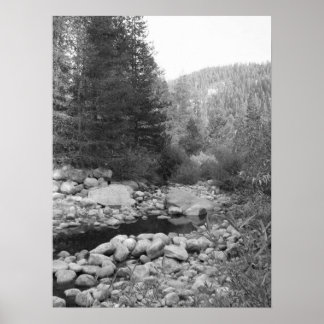 Poster de Black and White Forest Creek
