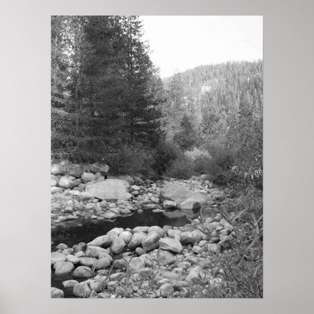 Poster de Black and White Forest Creek (Devant)