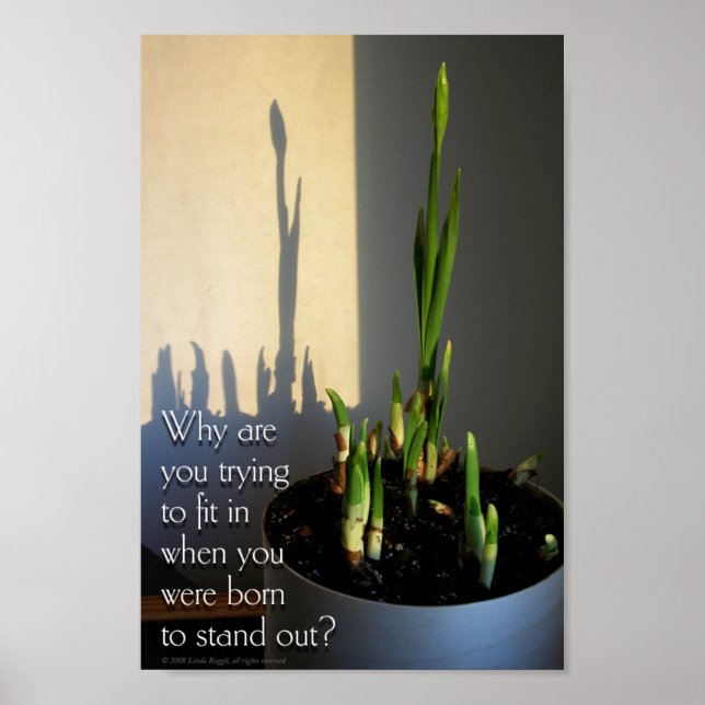 Poster de Born to Stand Out (Devant)