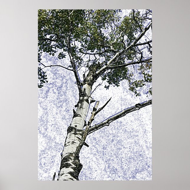 Poster de bouleau (Devant)