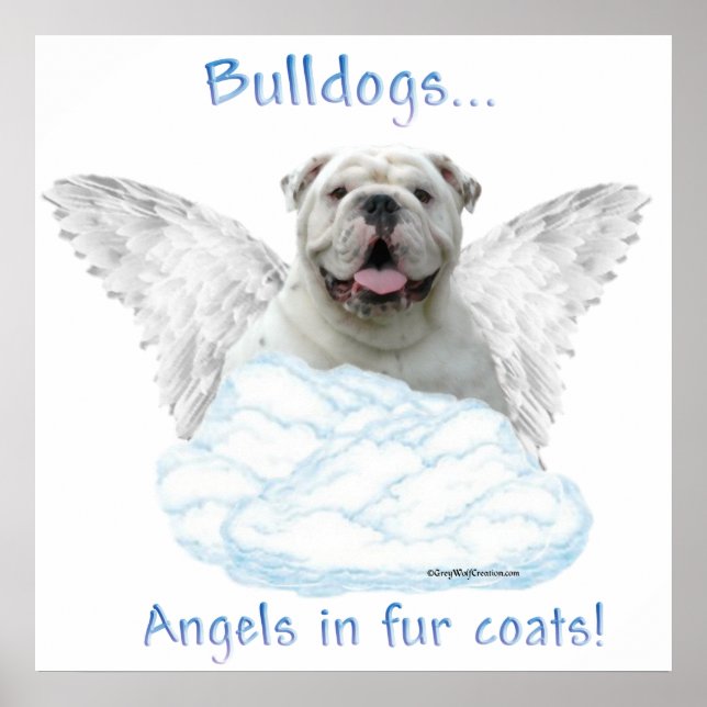 Poster de Bulldog Angel (Devant)