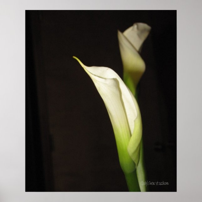 Poster de Cala Lily Duo (Devant)
