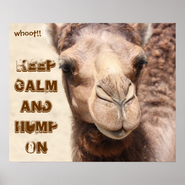Poster de Camel amusant Gardez le calme et Hump On (Devant)