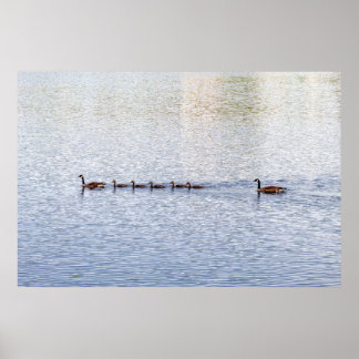 Poster de Canards sur Glen Lake