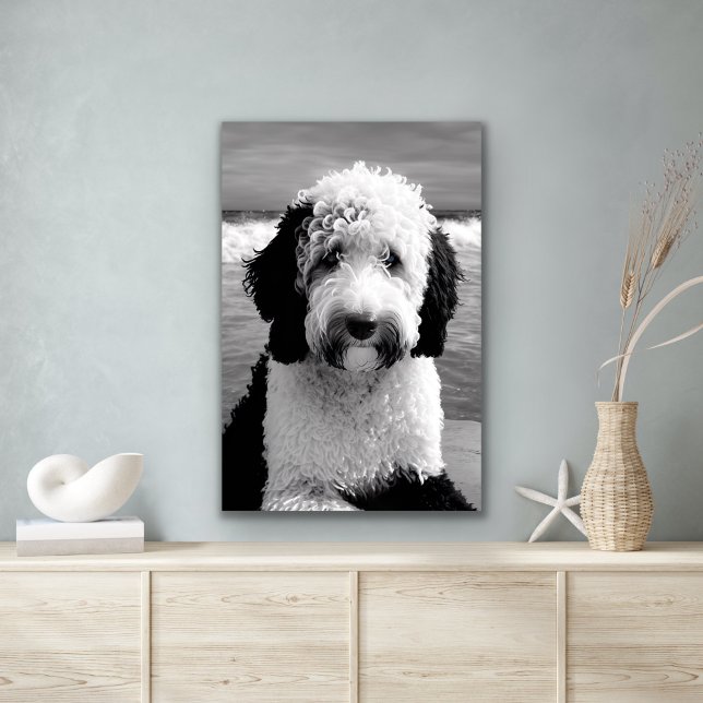 Poster de caniche noir et blanc (Créateur téléchargé)