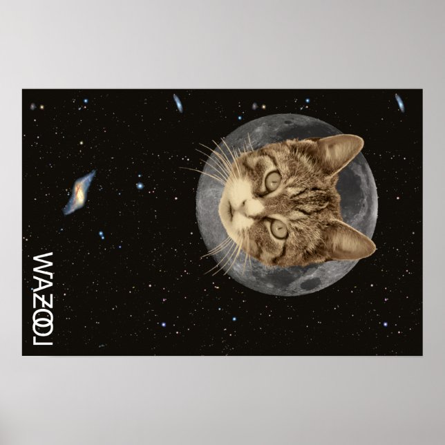 Poster de Cat Wazool (Devant)