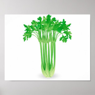 Poster de céleri frais