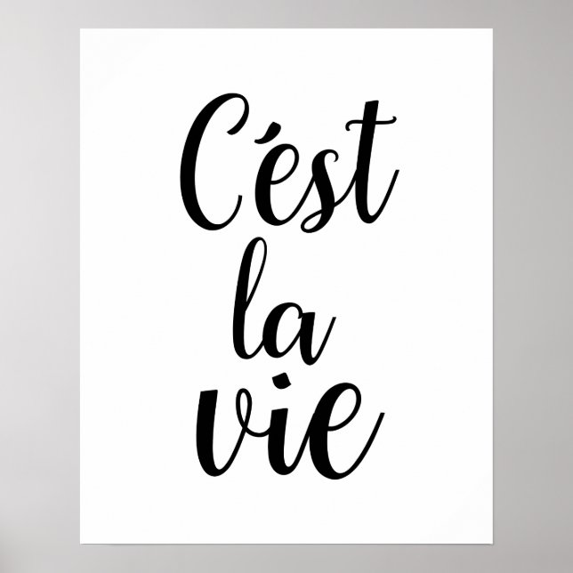 Poster de C'est La Vie (Devant)