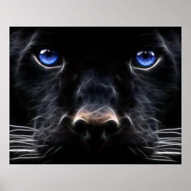 Poster de chat bleu mystique (Devant)