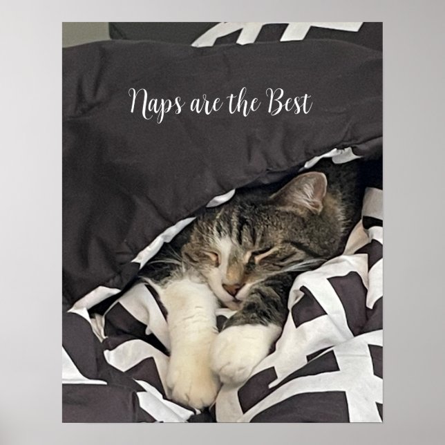 Poster de chat couché (Devant)