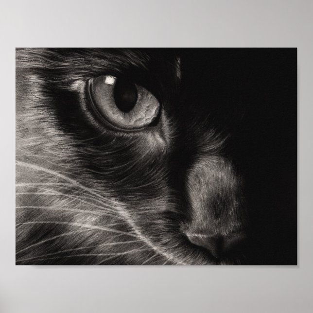 Poster de chat de beauté noire (Devant)