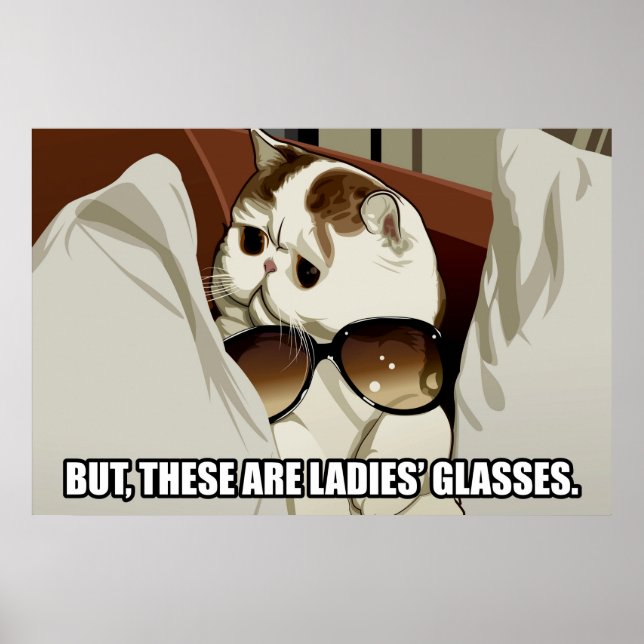 Poster de chat de lunettes fabuleuses (pt. 1) (Devant)
