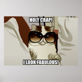 Poster de chat de lunettes fabuleuses (pt. 2)