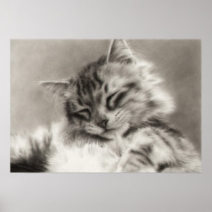 Poster de chat en coton principal