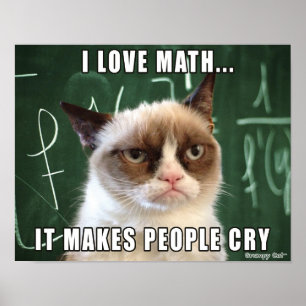 Poster de chat grumpy - J'adore les maths ça fait 