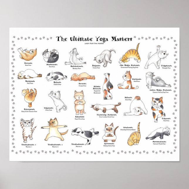 Poster de chats de yogi joyeux dessiné à la main (Devant)