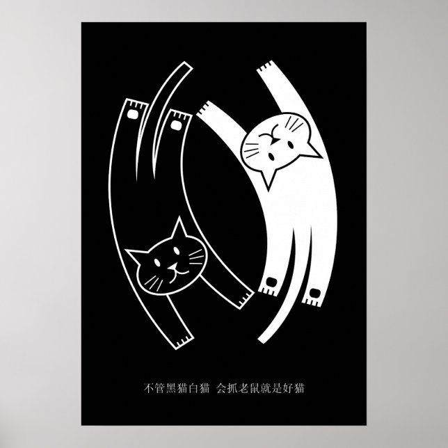 Poster de chats Yin & Yang (chinois mandarin) (Devant)