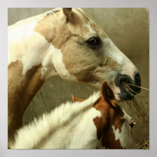 Poster de Cheval Événement Gris