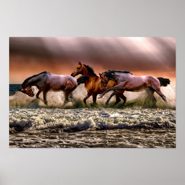 Poster de chevaux en course (Devant)